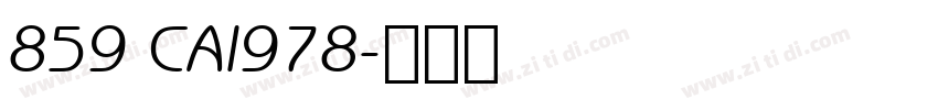 859 CAI978字体转换